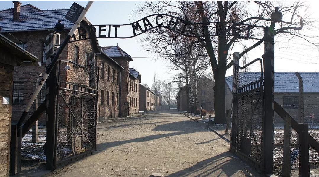 Auschwitz: 1,8 milioni di visitatori nel 2024