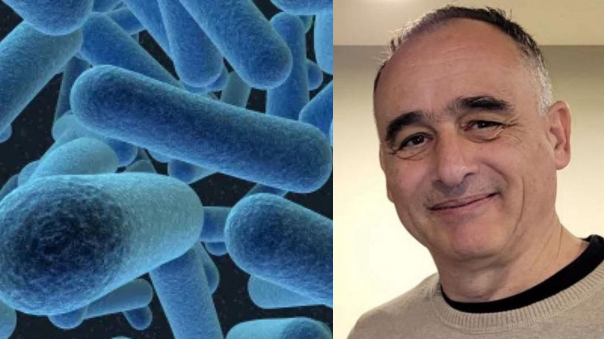 Scoperto ‘Vibrio sessaei’: il batterio chiamato così in onore di Guido Sessa, pioniere della microbiologia e membro della Comunità Ebraica di Roma