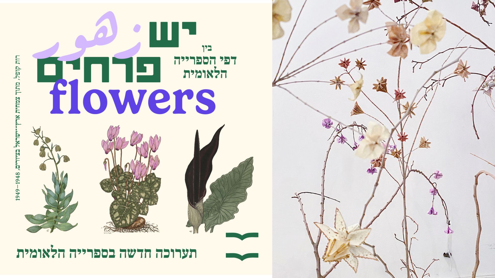 Fiori da sfogliare e ammirare. Alla National Library di Israele la mostra con esemplari rari e mai esposti