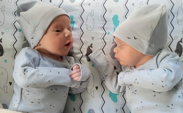 Parashà di Toledot: Gemelli e primogeniti Parashà di Toledot: Gemelli e primogeniti