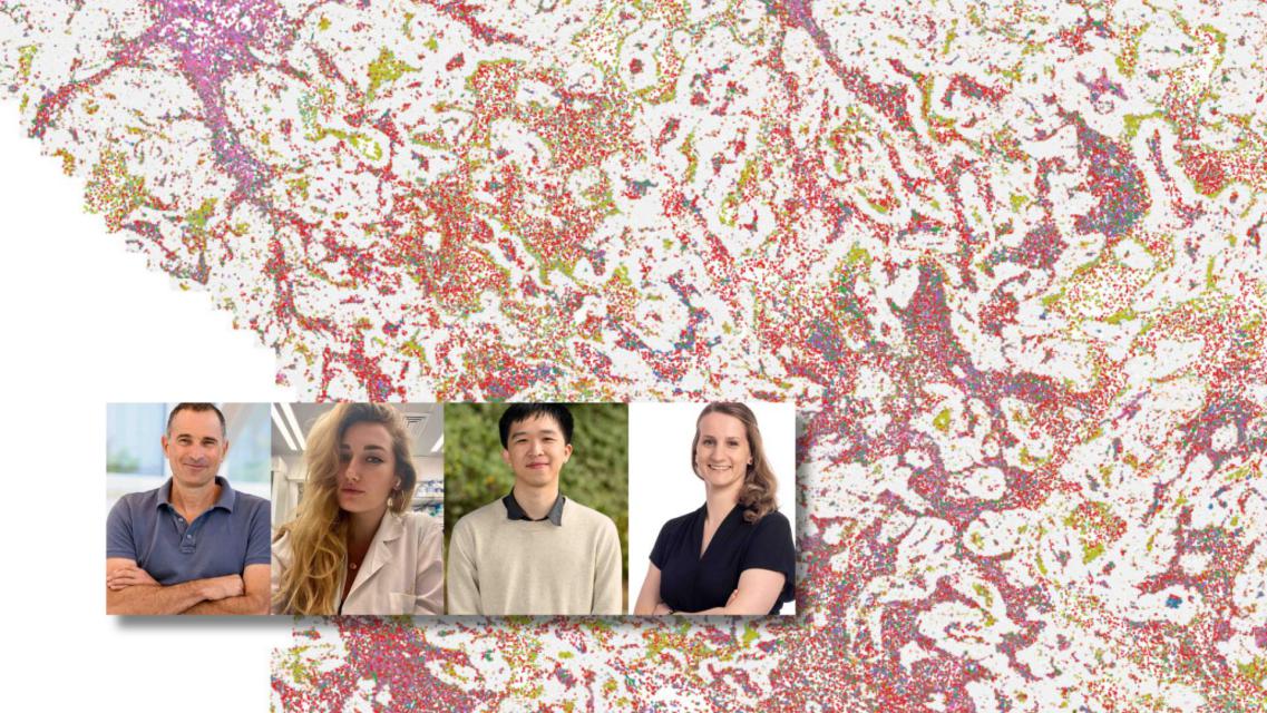 Dal Weizmann Institute una nuova immunoterapia per superare la resistenza ai trattamenti oncologici Dal Weizmann Institute una nuova immunoterapia per superare la resistenza ai trattamenti oncologici