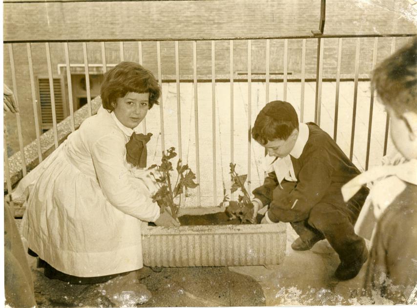 Ci vuole un fiore. Tu Bishvat, Roma 1955