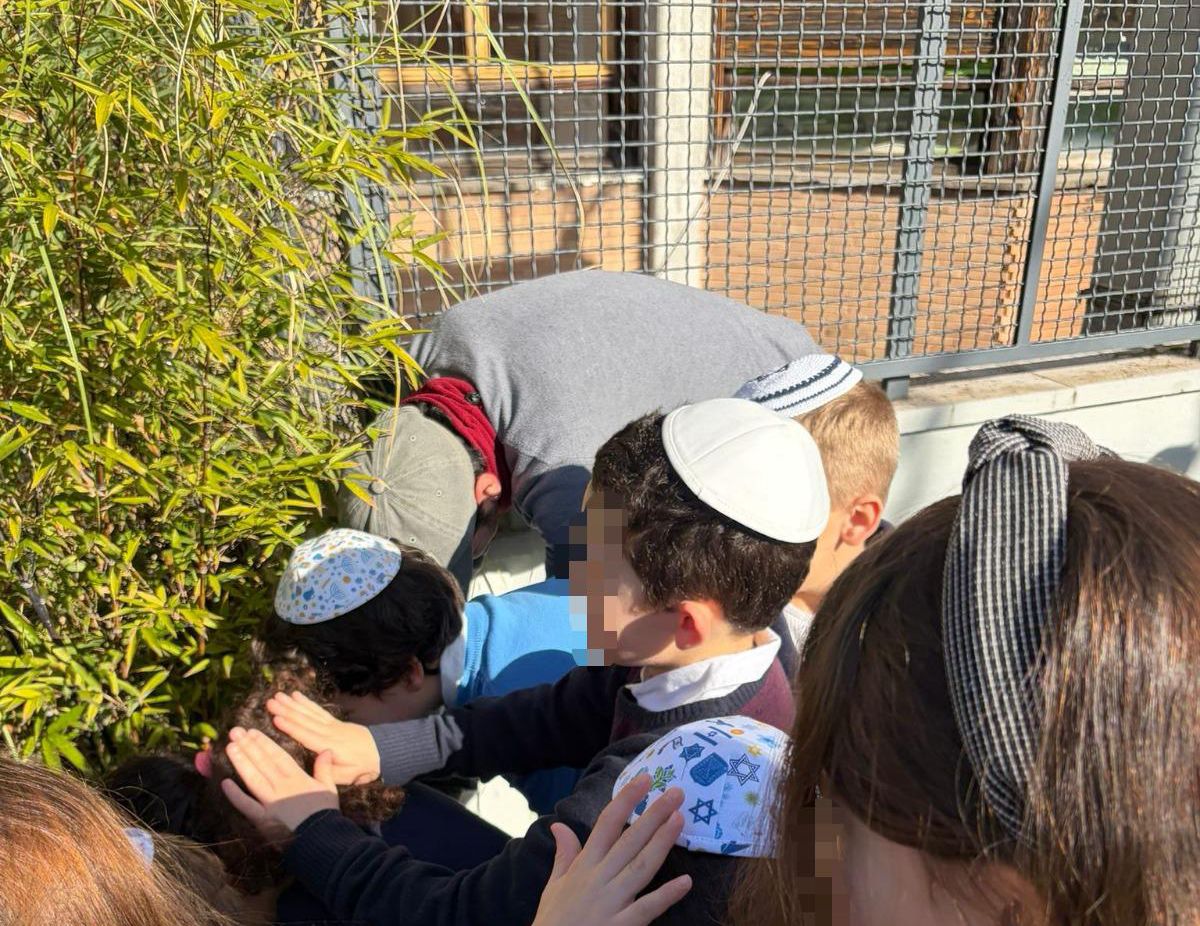 Tra semi e seder didattico: Tu Bishvat insieme ai bambini del Dipartimento Educativo Giovani