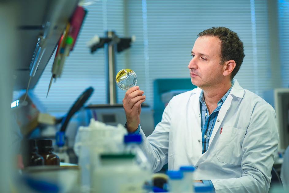 Farmaci prodotti direttamente dall’organismo: la rivoluzione proposta dai laboratori israeliani Farmaci prodotti direttamente dall’organismo: la rivoluzione proposta dai laboratori israeliani