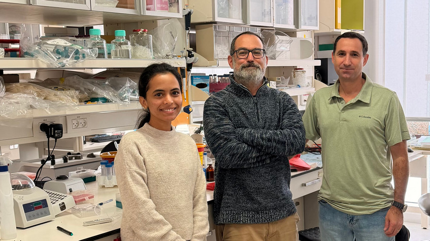 Psoriasi e malattie della pelle: meccanismo chiave svelato da uno studio israeliano Psoriasi e malattie della pelle: meccanismo chiave svelato da uno studio israeliano