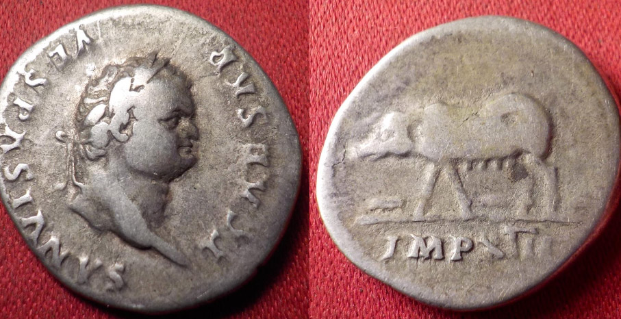 Parashà di Sheminì: animali impuri e l’ipocrisia