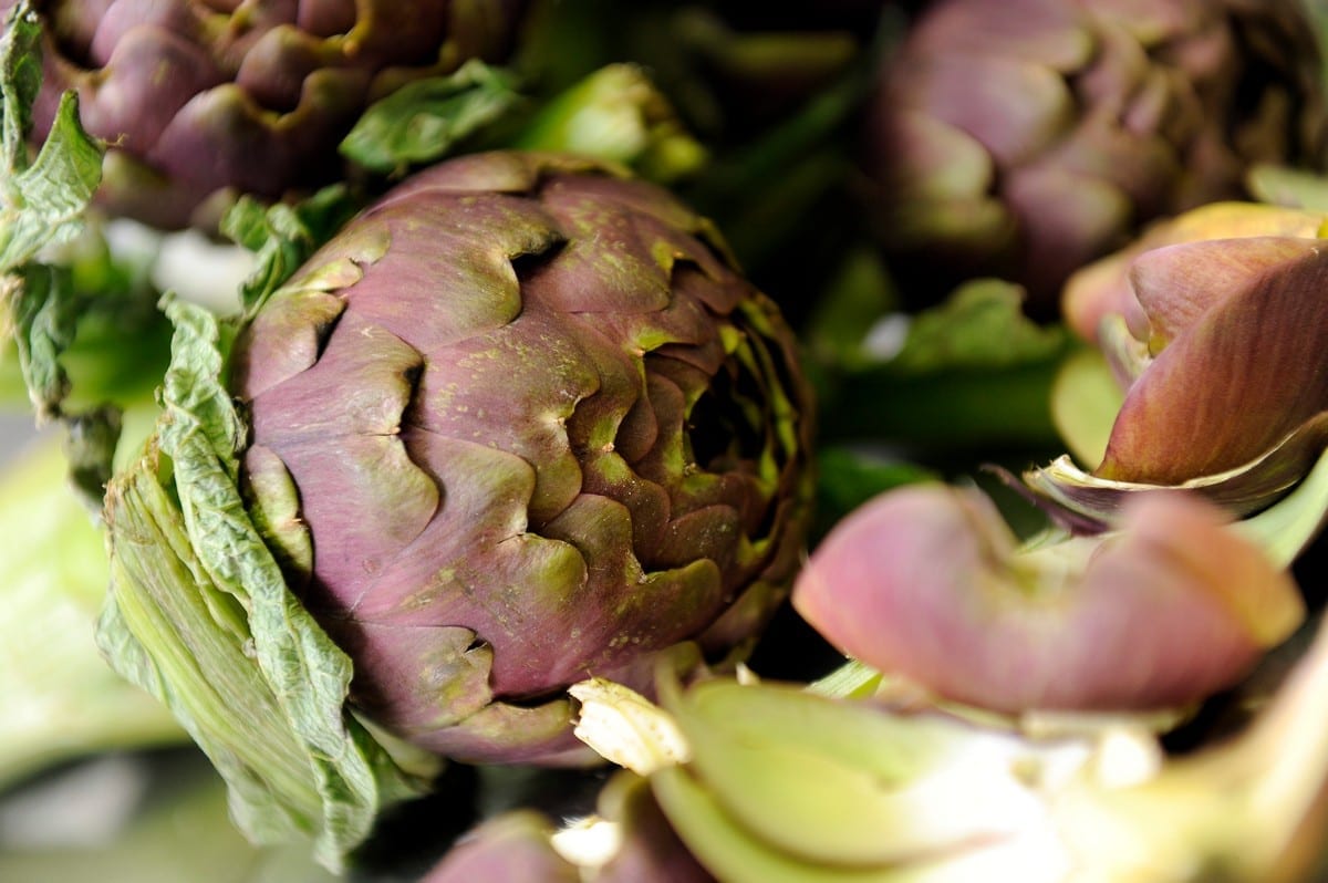 Roma celebra il carciofo romanesco: degustazioni e tradizione nel quartiere ebraico