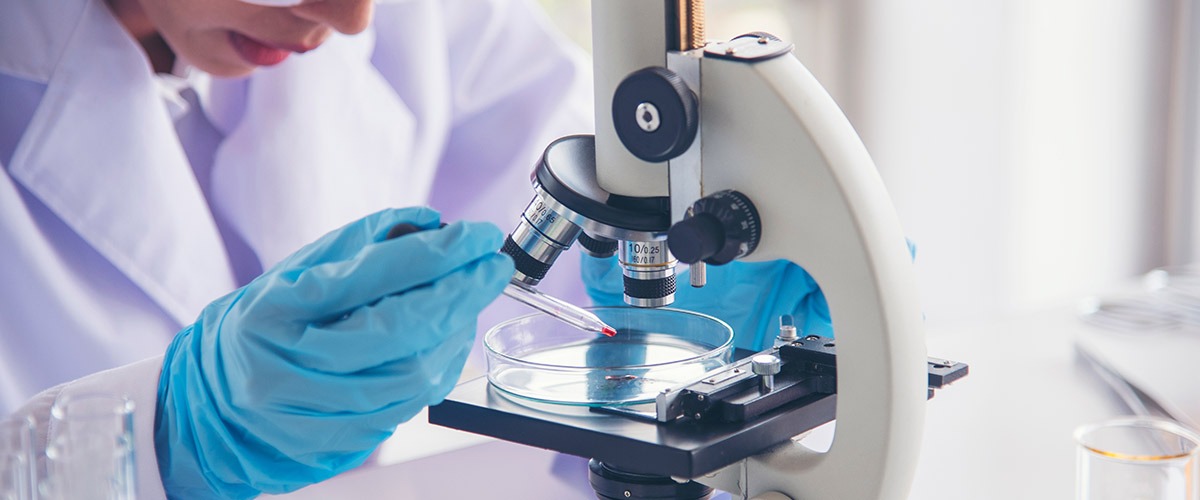 Technion: un’innovativa strategia per eliminare ‘selettivamente’ le cellule tumorali