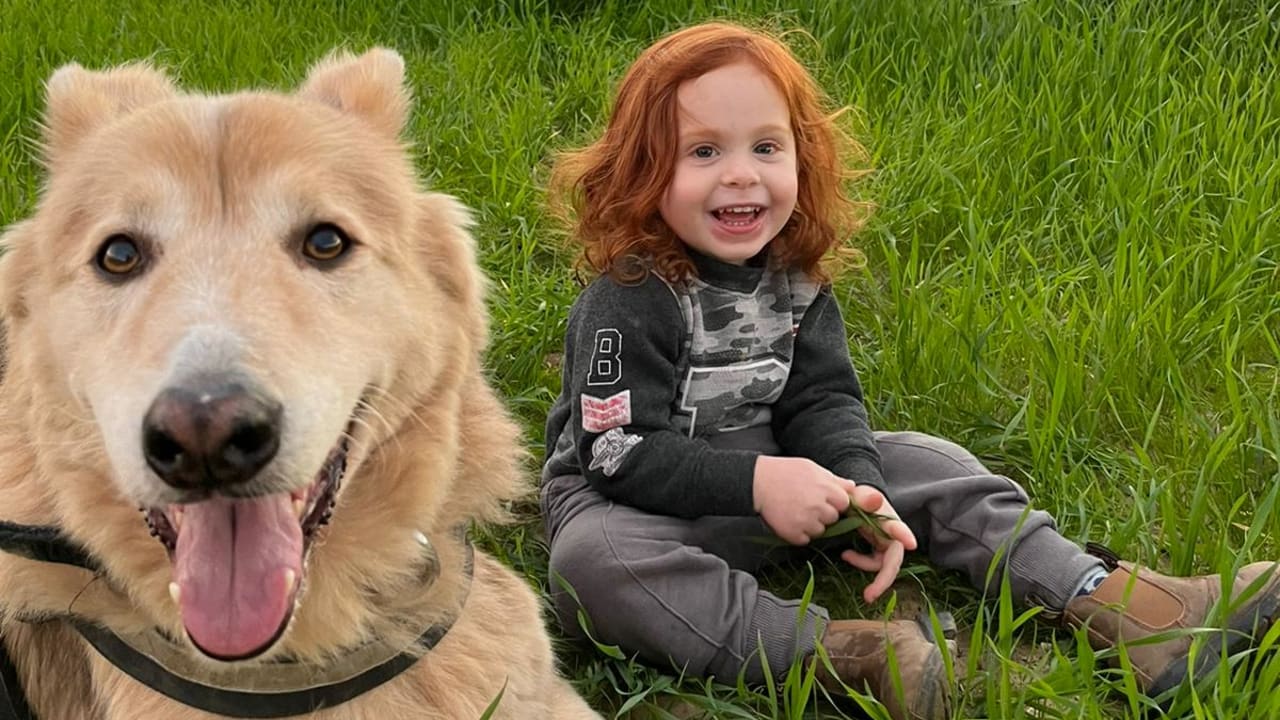 Yarden Bibas ricorda il figlio Ariel nel giorno del compleanno: “La nostalgia cresce”