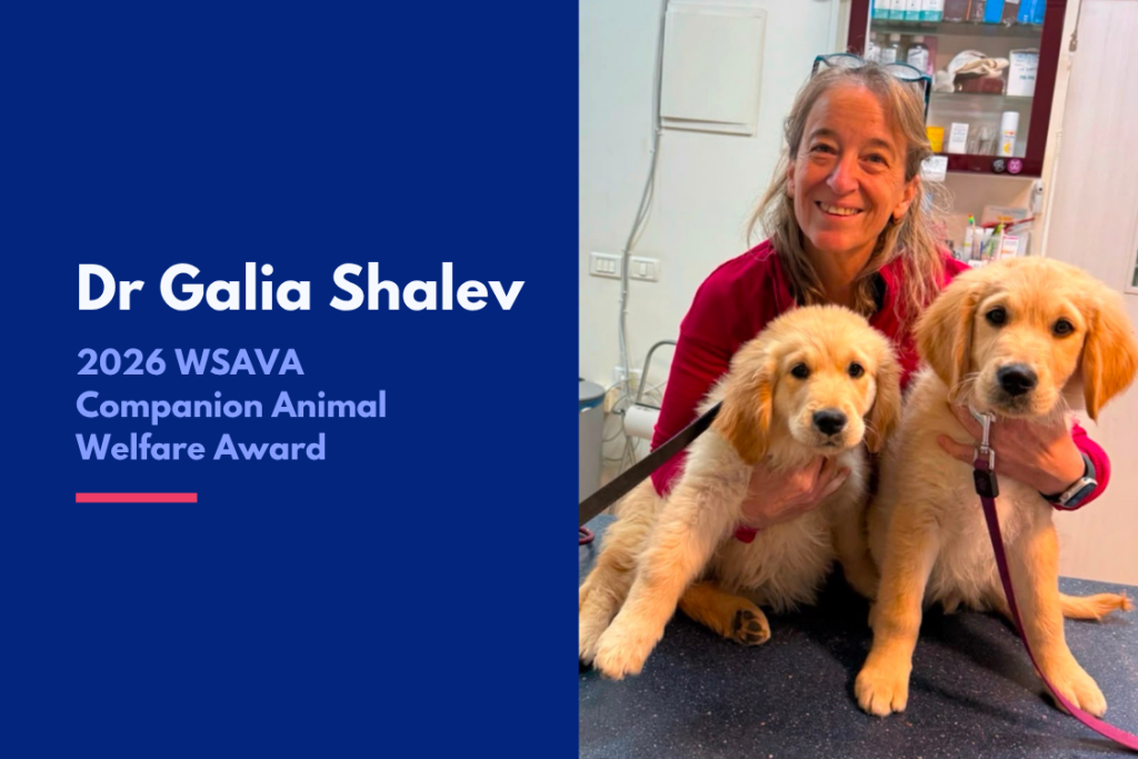 Premiata la veterinaria israeliana che rischiò la vita per salvare gli animali dopo il 7 ottobre